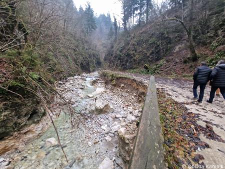 Terenski ogledi poškodovanih gozdnih cest (8)